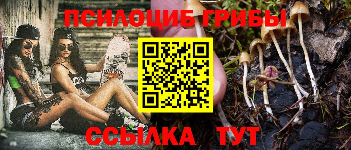 Конаково  Галлюциногенные грибы мицелий  Вход с VPN 