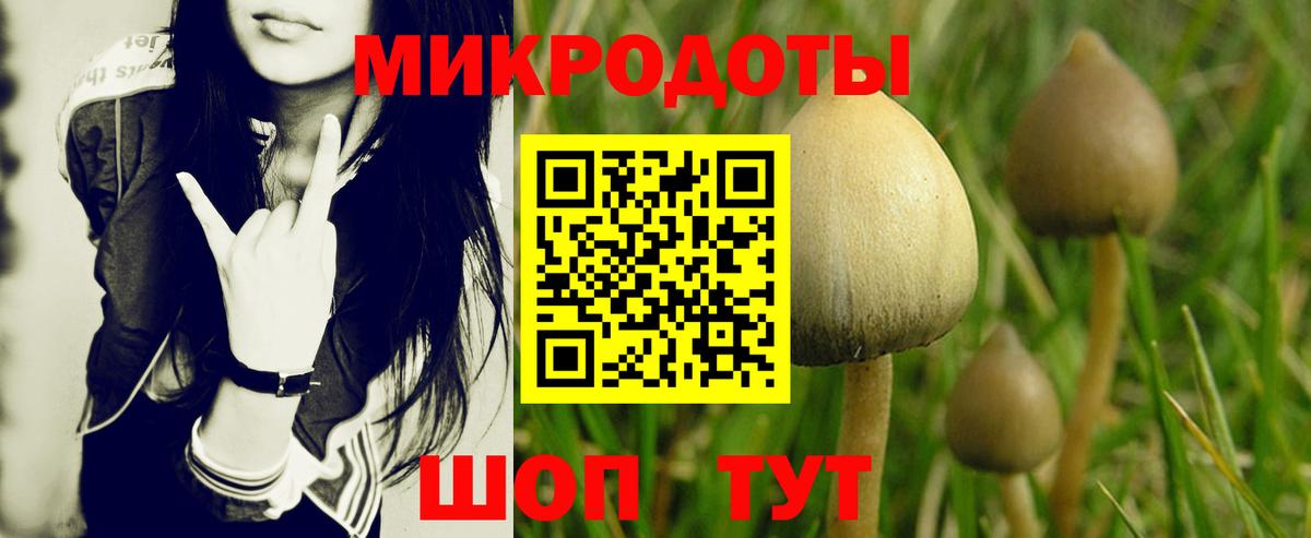 Псилоцибиновые грибы мухоморы Конаково
